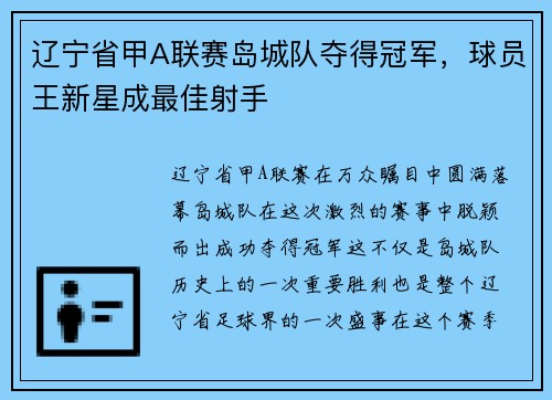 辽宁省甲A联赛岛城队夺得冠军，球员王新星成最佳射手